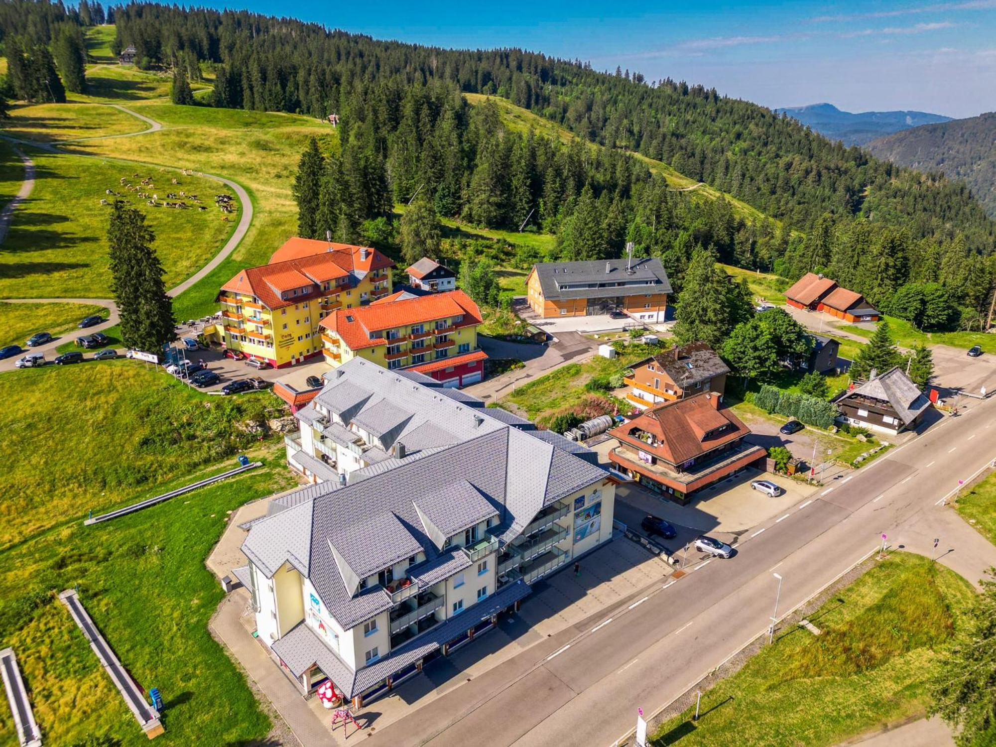 Feldberg Domizil - Residenz Grafenmatt Apartment Rinken ภายนอก รูปภาพ