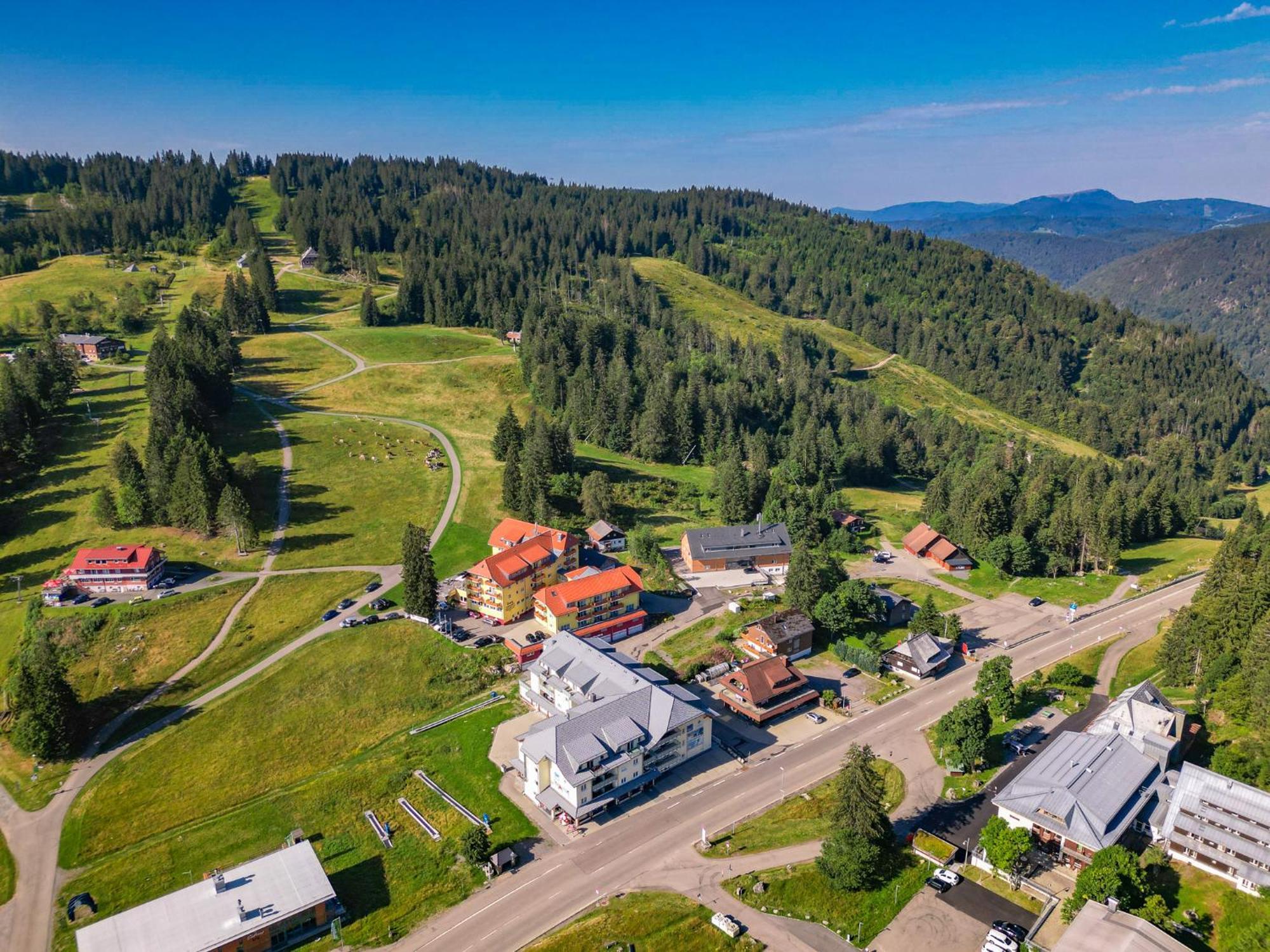 Feldberg Domizil - Residenz Grafenmatt Apartment Rinken ภายนอก รูปภาพ